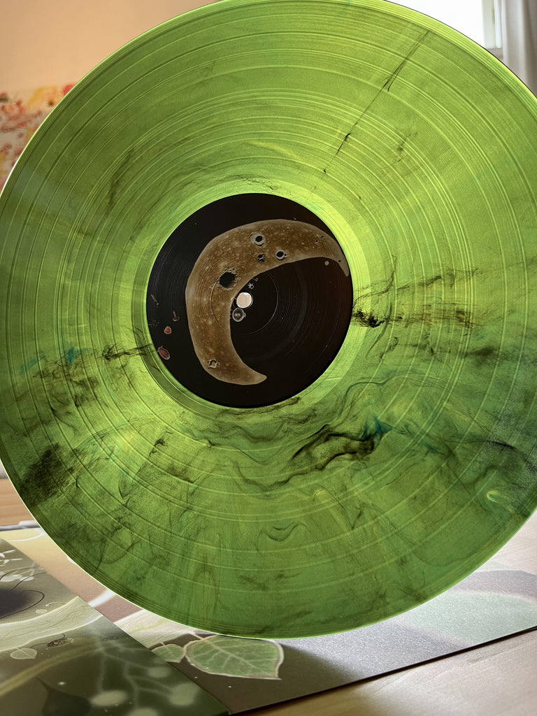 Botanicula Soundtrack by Dva on Vinyl | Amanita Design Store